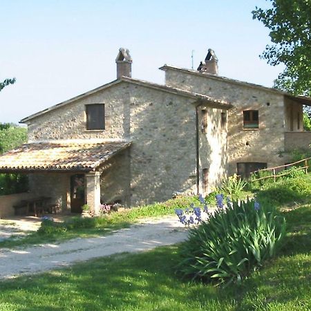 Agriturismo Frallarenza Ficulle Exterior photo
