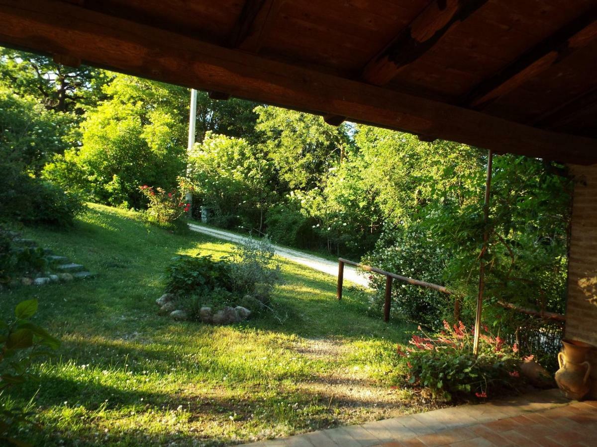 Agriturismo Frallarenza Ficulle Exterior photo