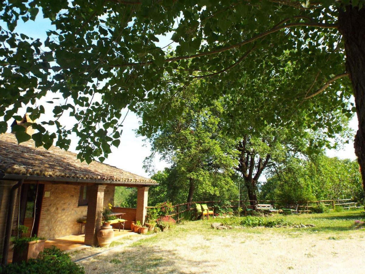 Agriturismo Frallarenza Ficulle Exterior photo