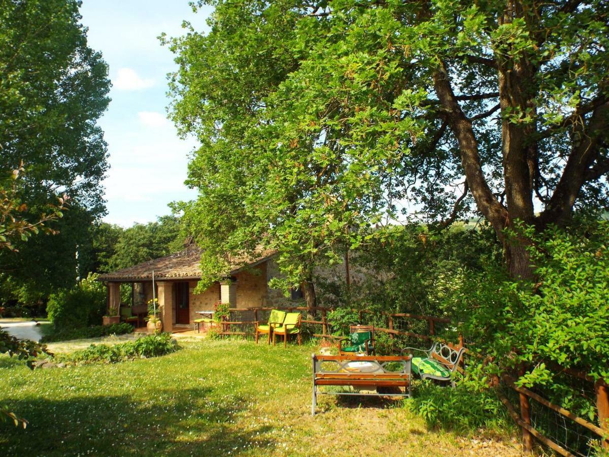 Agriturismo Frallarenza Ficulle Exterior photo