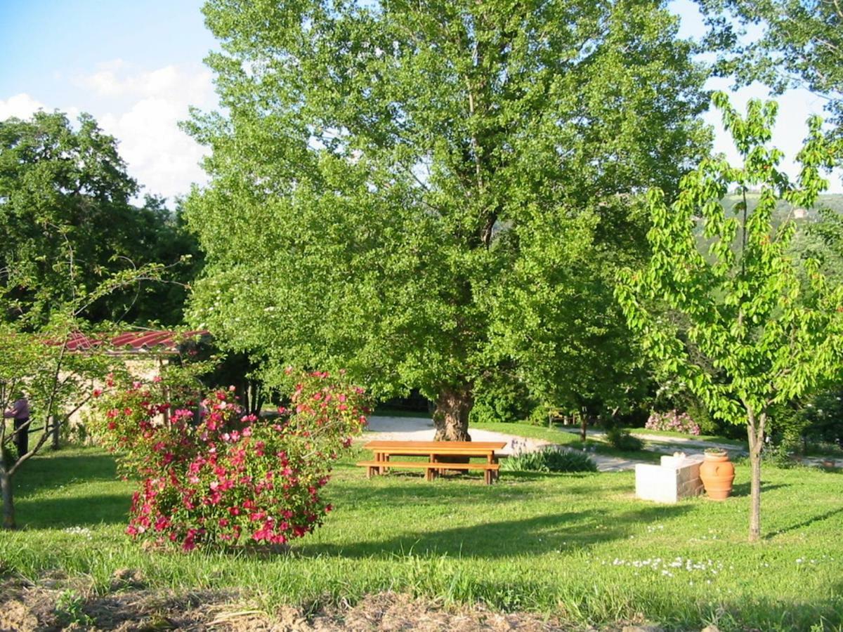 Agriturismo Frallarenza Ficulle Exterior photo